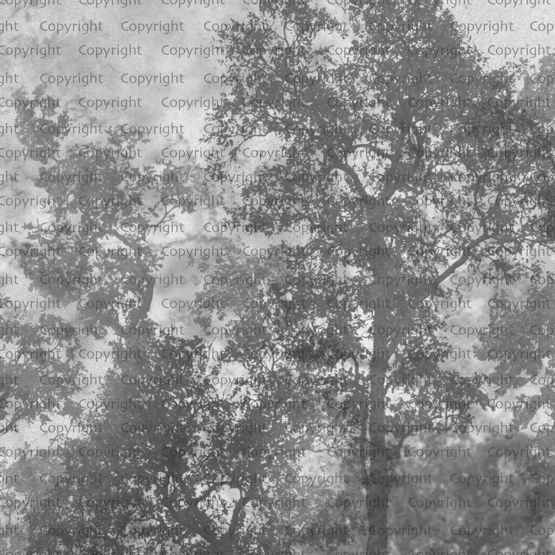 SE312-2